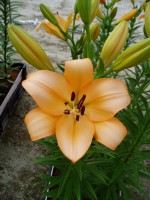 [1669 DigitalGlobe No01.JPG]